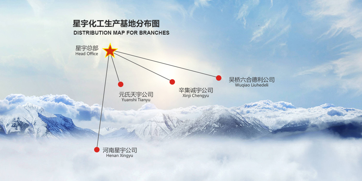   臨安市維蘭助劑有限公司